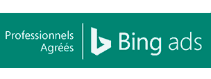 Consultant Bing Ads Freelance