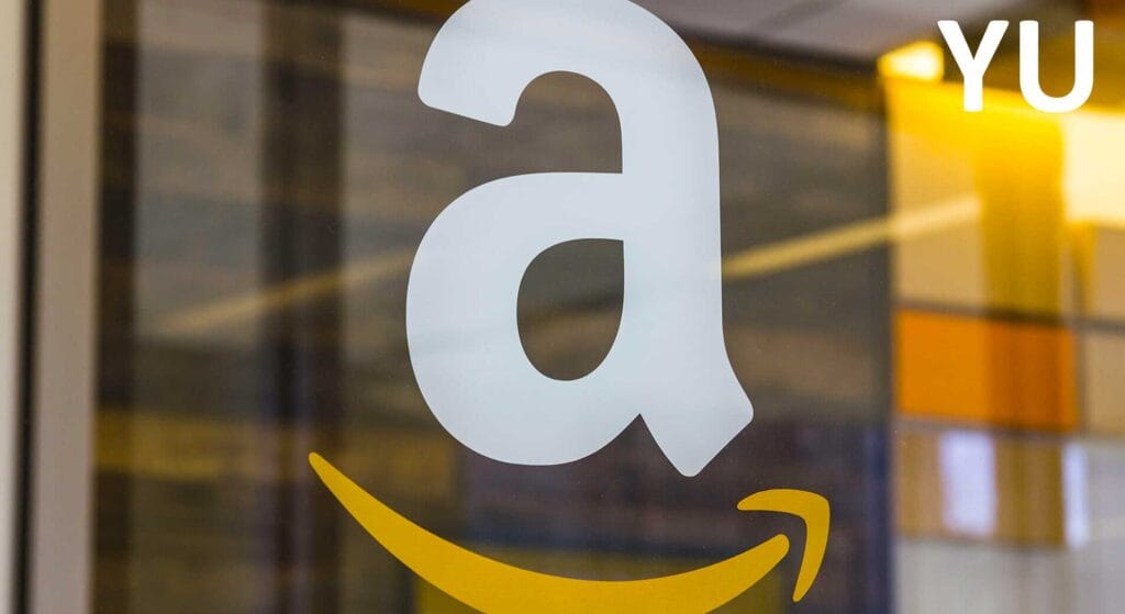 Expert publicite Amazon