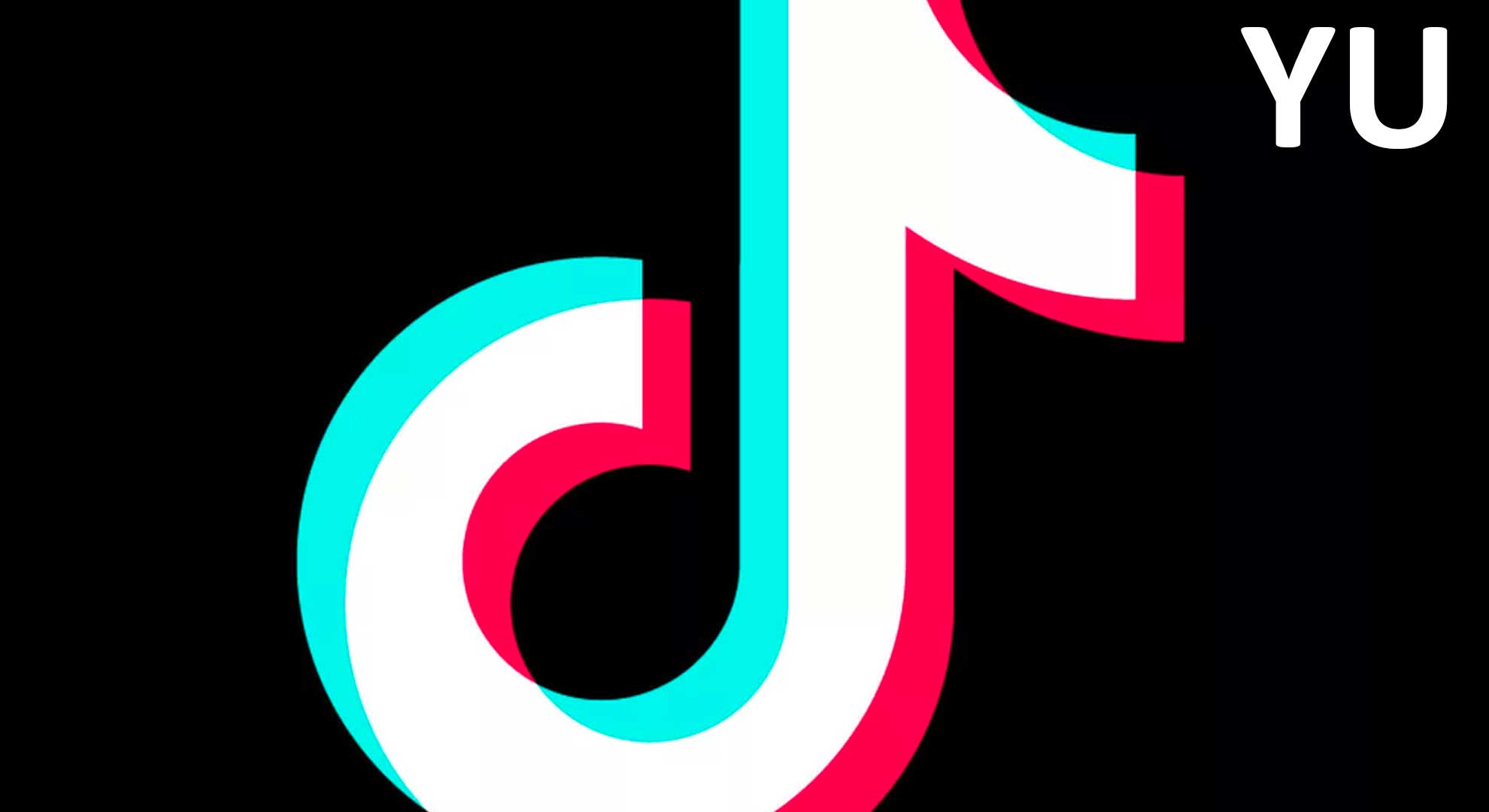 Freelance TikTok Ads  Expert en publicit  TikTok  Agence 