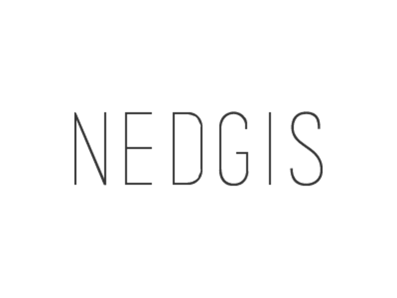 Logo Nedgis